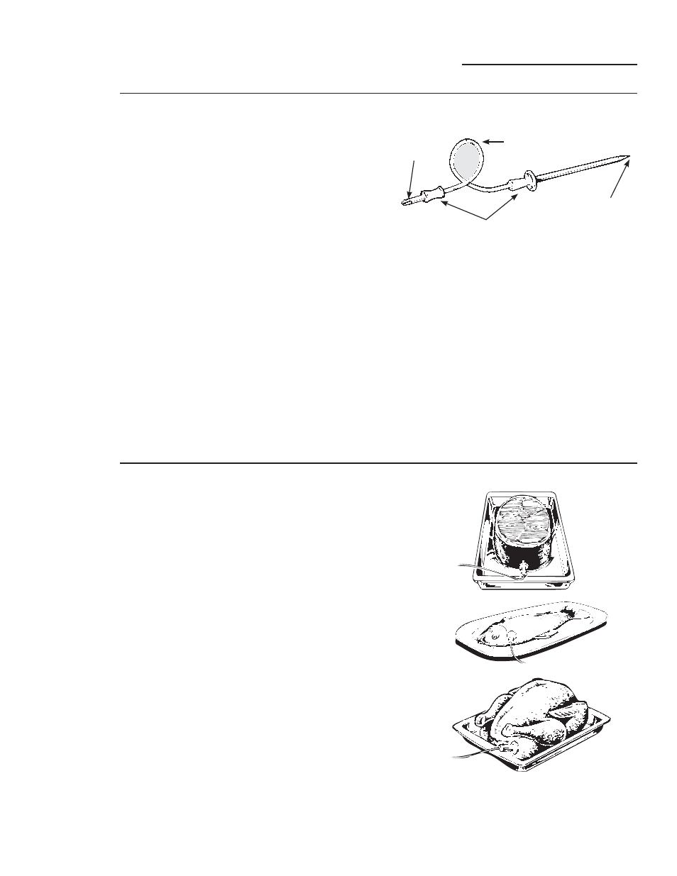 Using the probe for roasting, Temperature probe, Proper placement of the probe | GE ZET2SMSS User Manual | Page 15 / 124