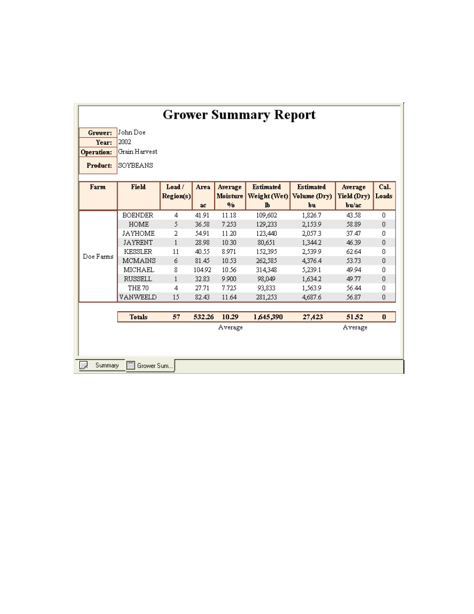 Report document window, Job/task summary document window | Ag Leader SMS Basic and Advanced Manual User Manual | Page 48 / 163