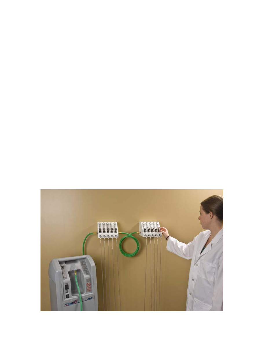 Introduction | AirSep MN152-1 User Manual | Page 6 / 18