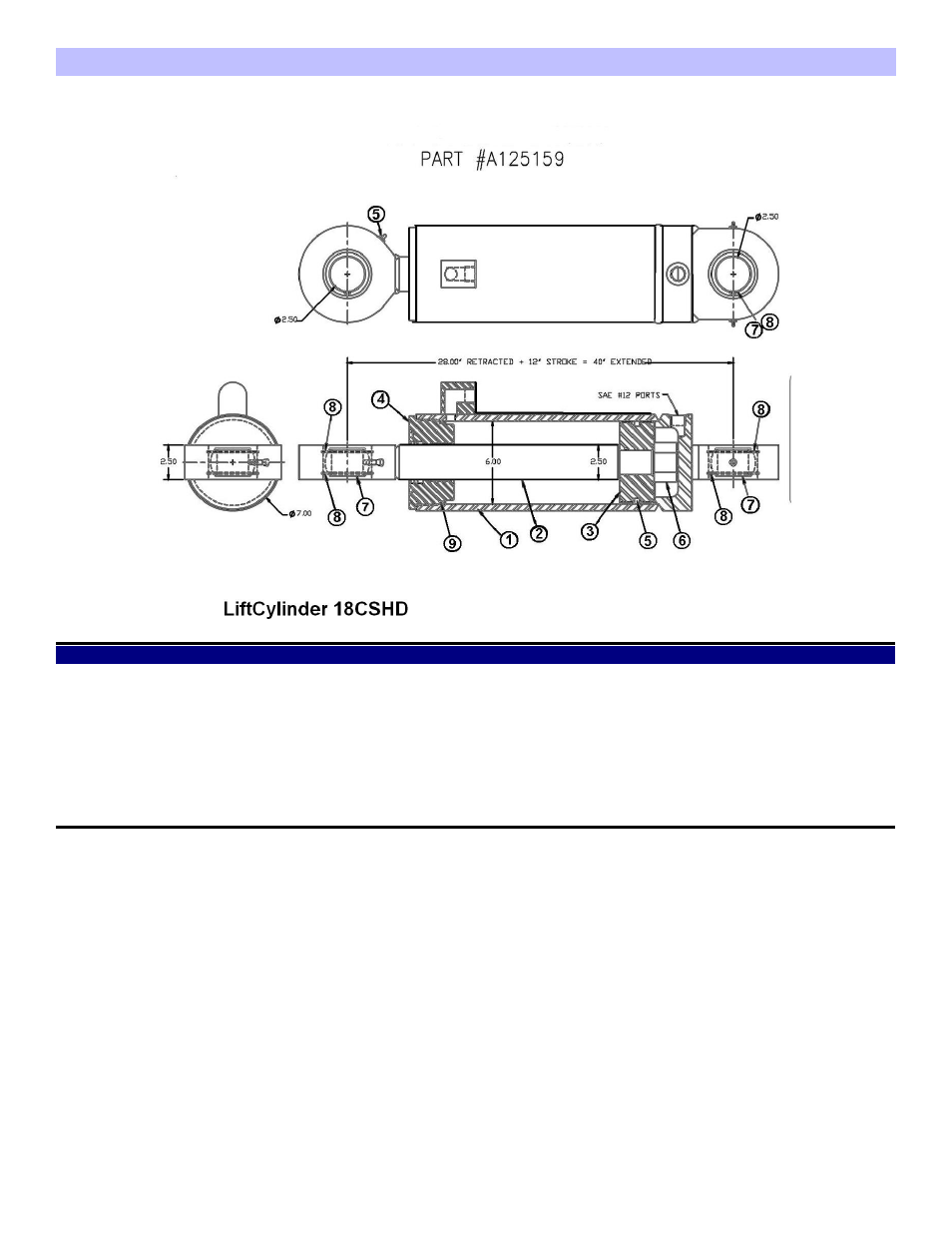Cs18hd lift cylinder | Ashland CS18-HD User Manual | Page 10 / 17