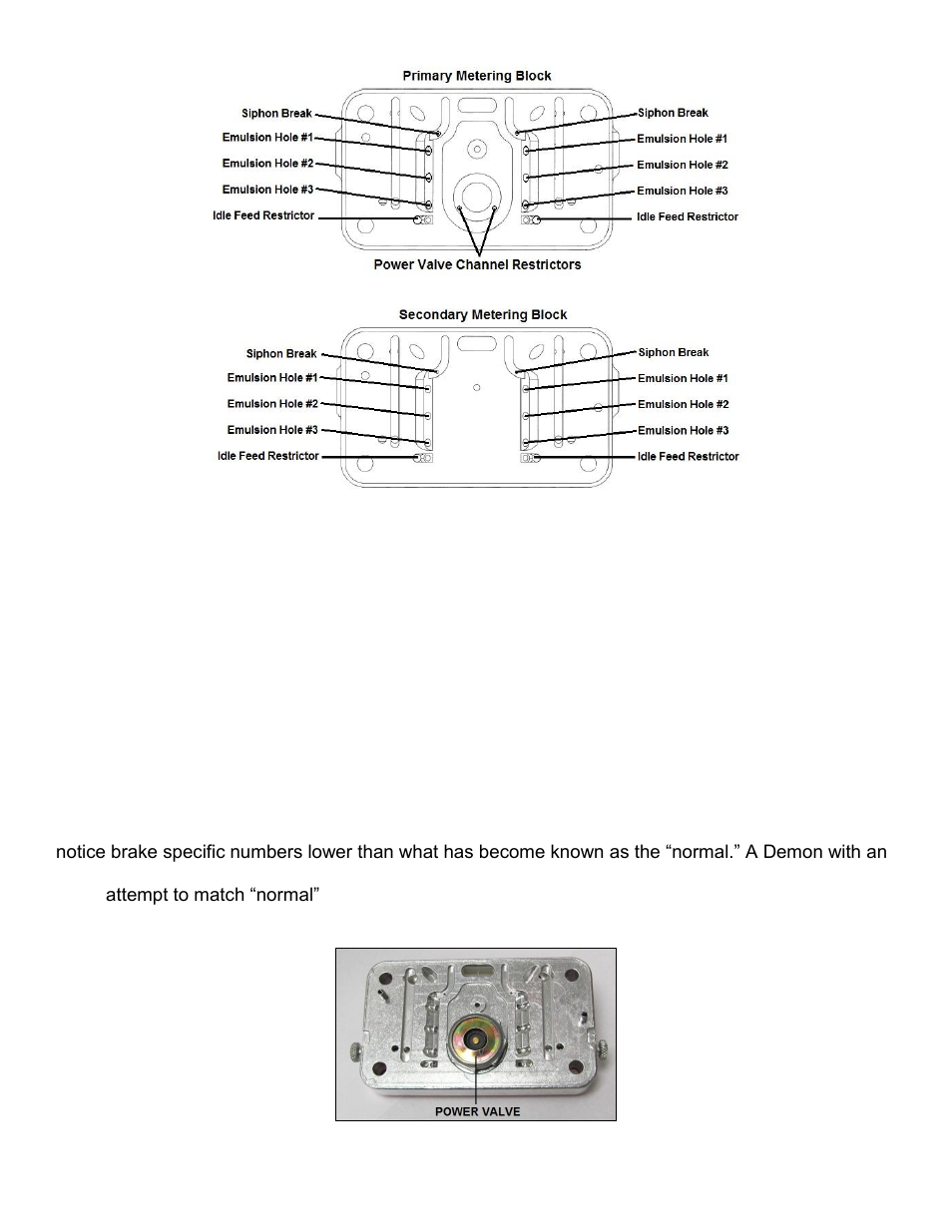 Main well jets | Demon Fuel Systems 1563010VE User Manual | Page 13 / 18