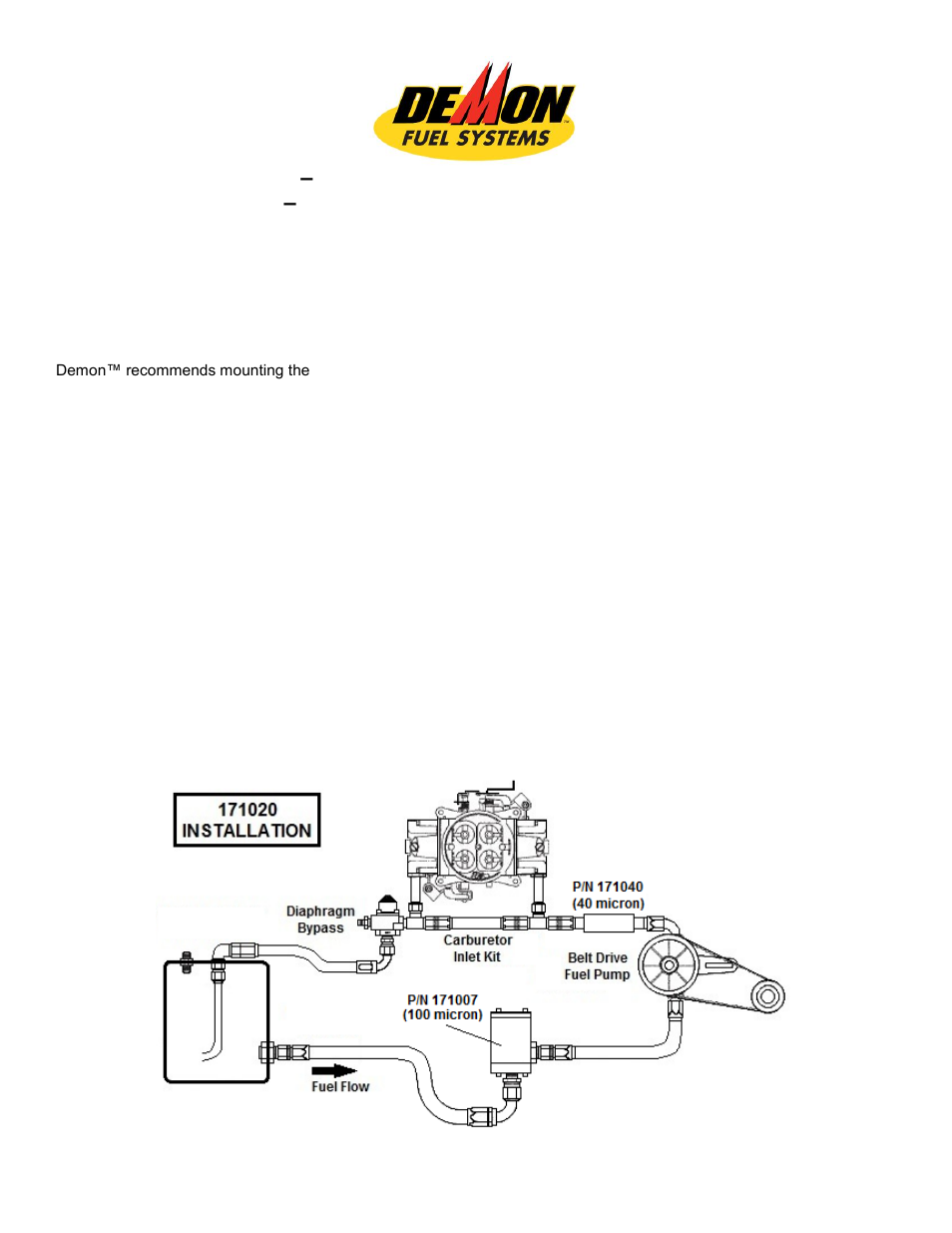 Demon Fuel Systems 171021 User Manual | 2 pages