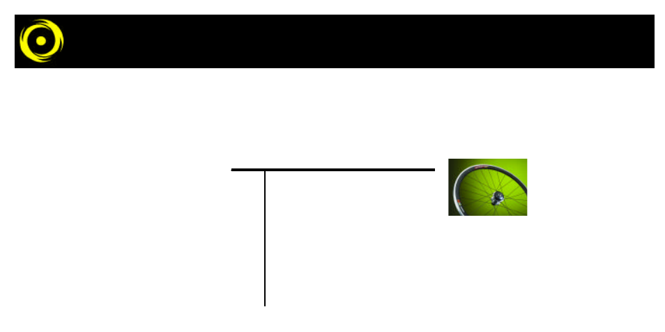 System overview | PowerTap Pro User Manual | Page 5 / 43