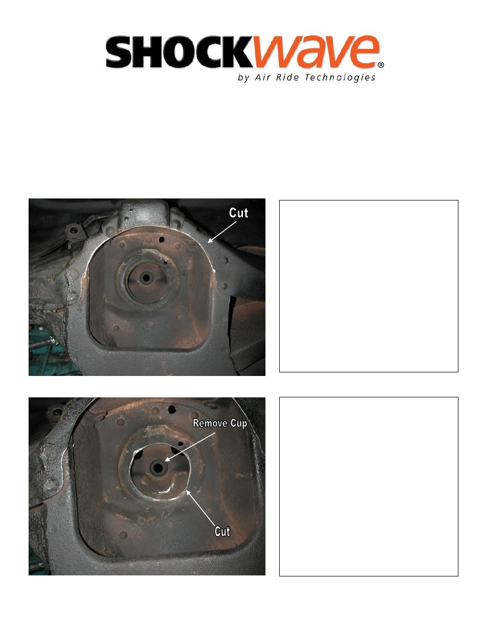 Ridetech 11030199 User Manual | Page 3 / 18