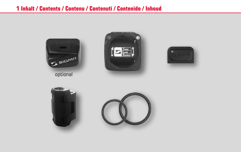 SIGMA BC 1609 STS User Manual | Page 3 / 120