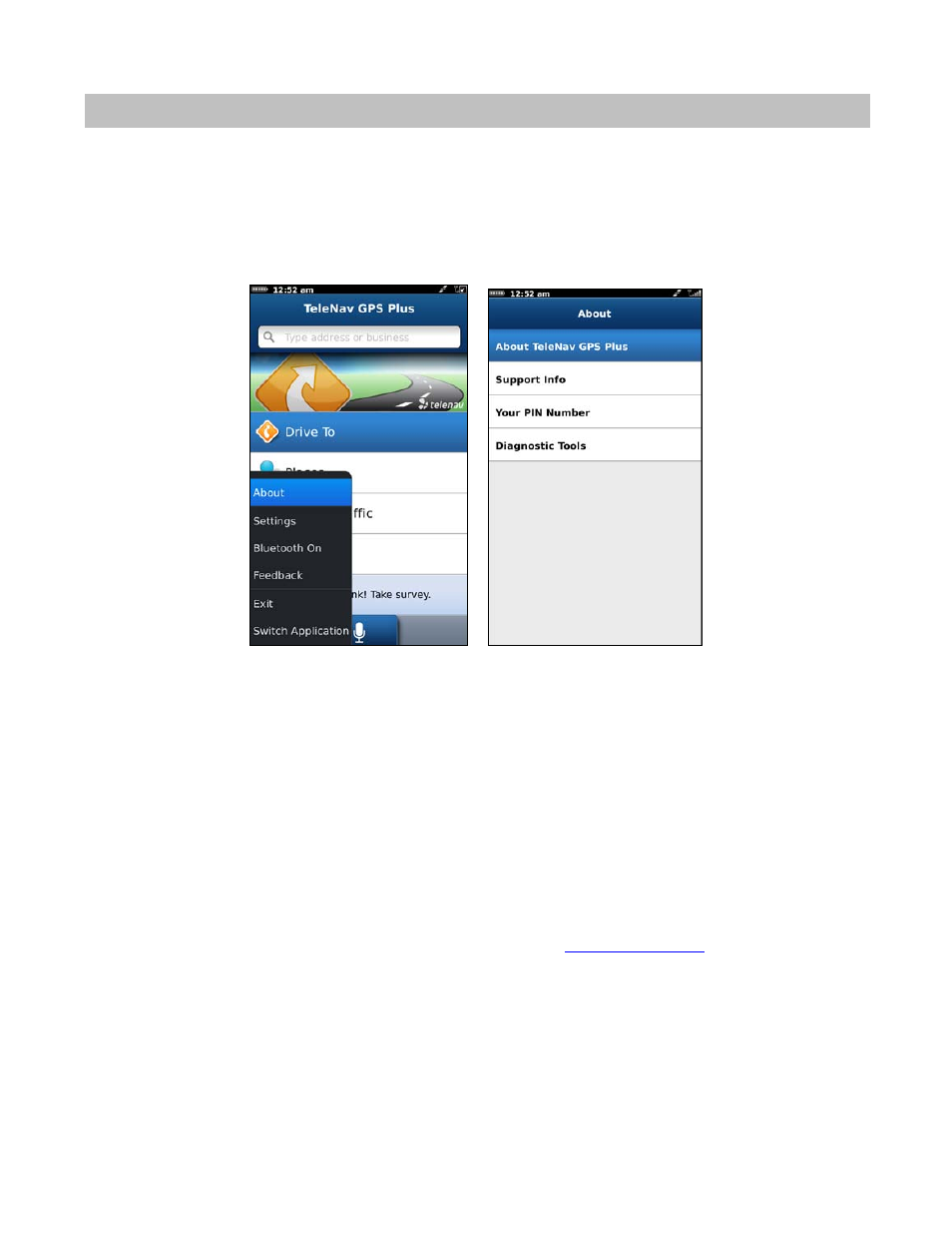 Telenav menu options, About, Support info | Your pin number, About telenav gps plus | Telenav for Verizon Supported Devices: v6.2 for BlackBerry User Manual | Page 49 / 64