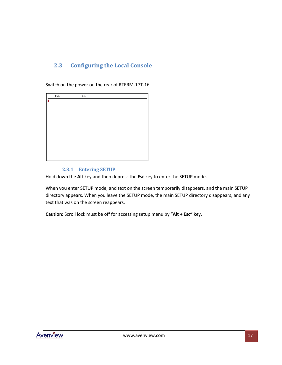 Configuring the local console, Entering setup | Avenview RTERM Series User Manual | Page 17 / 75