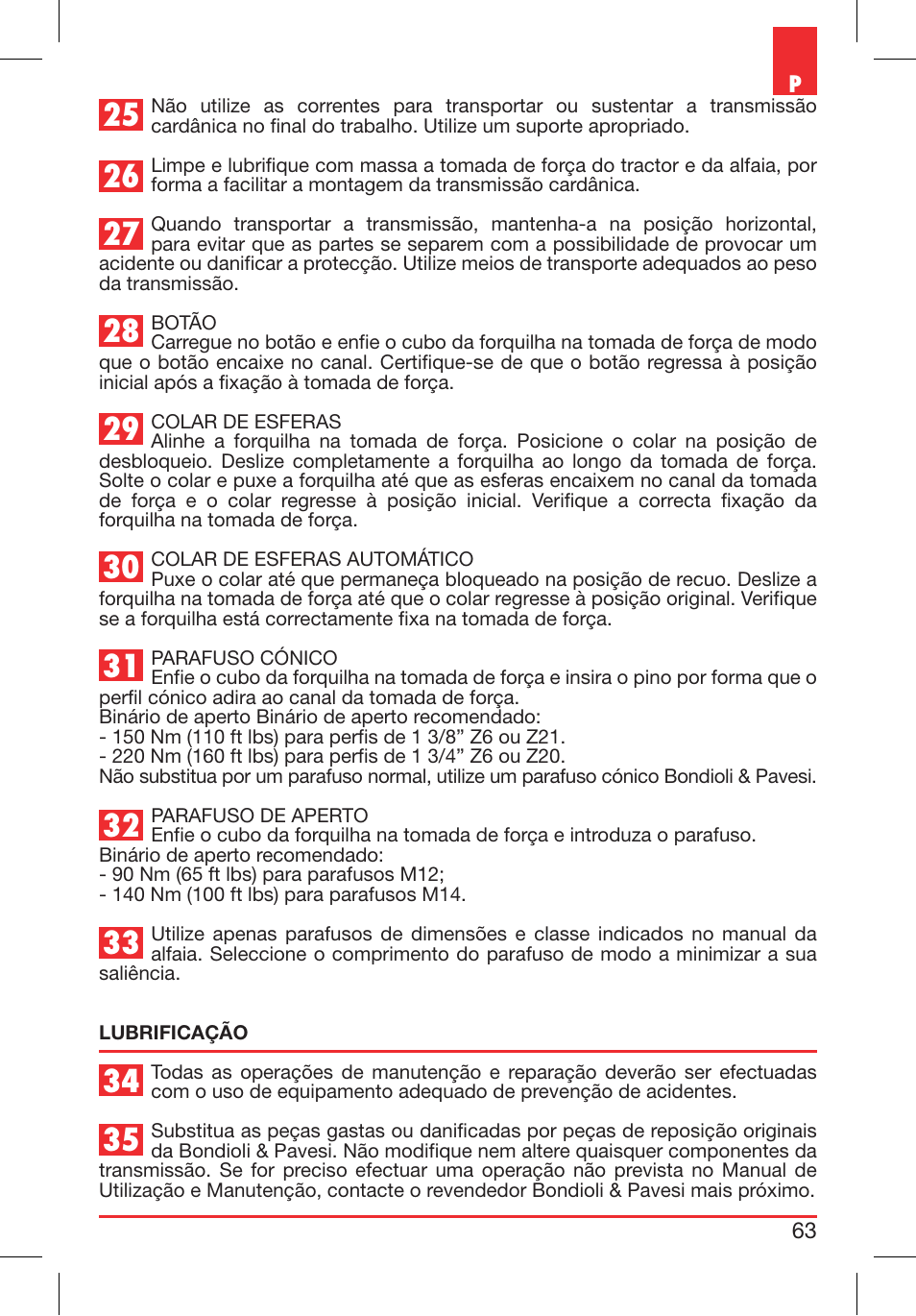 Bondioli&Pavesi 399CEBR15_A User Manual | Page 63 / 255