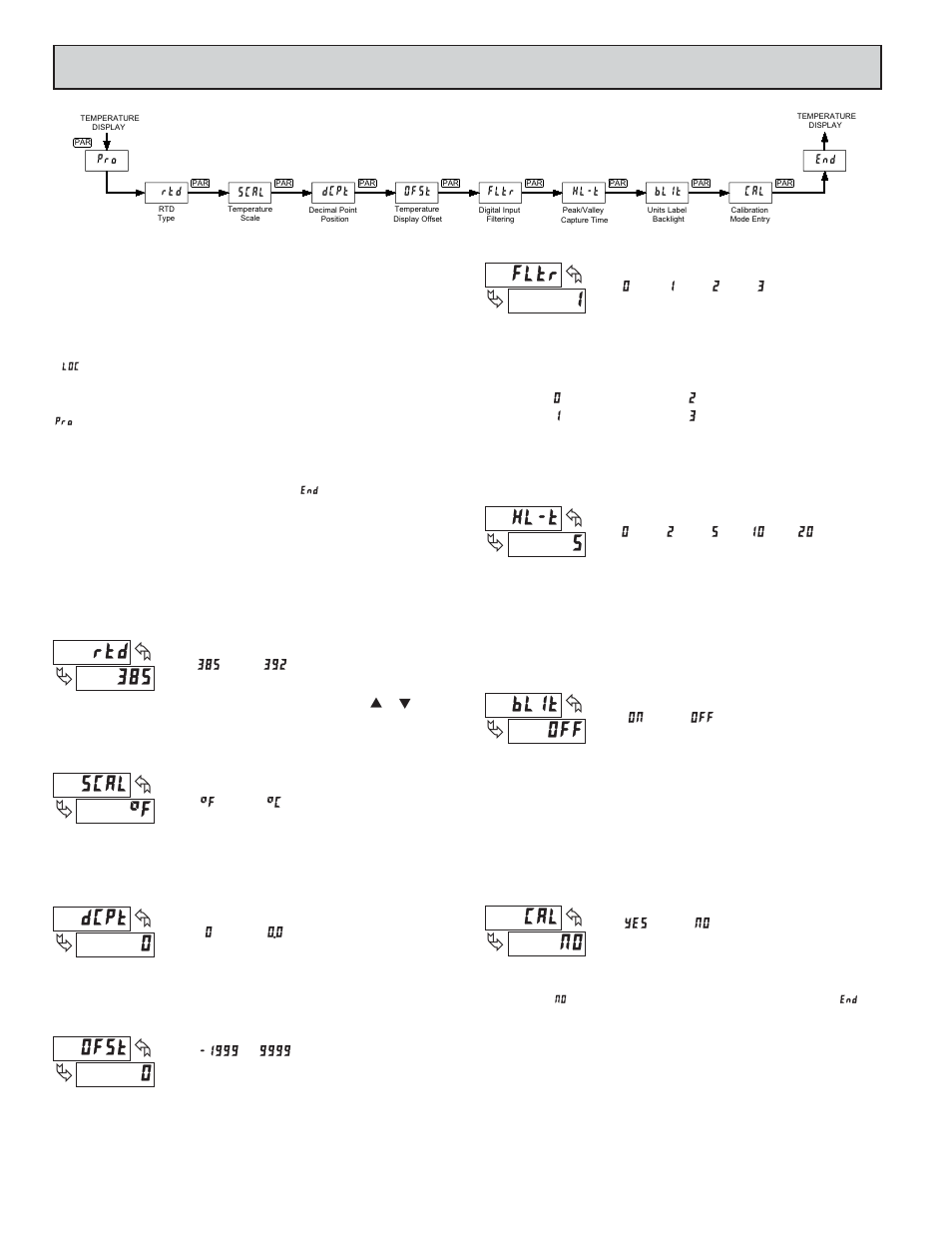 Rogramming, Eter | Red Lion PAXLRT User Manual | Page 6 / 8