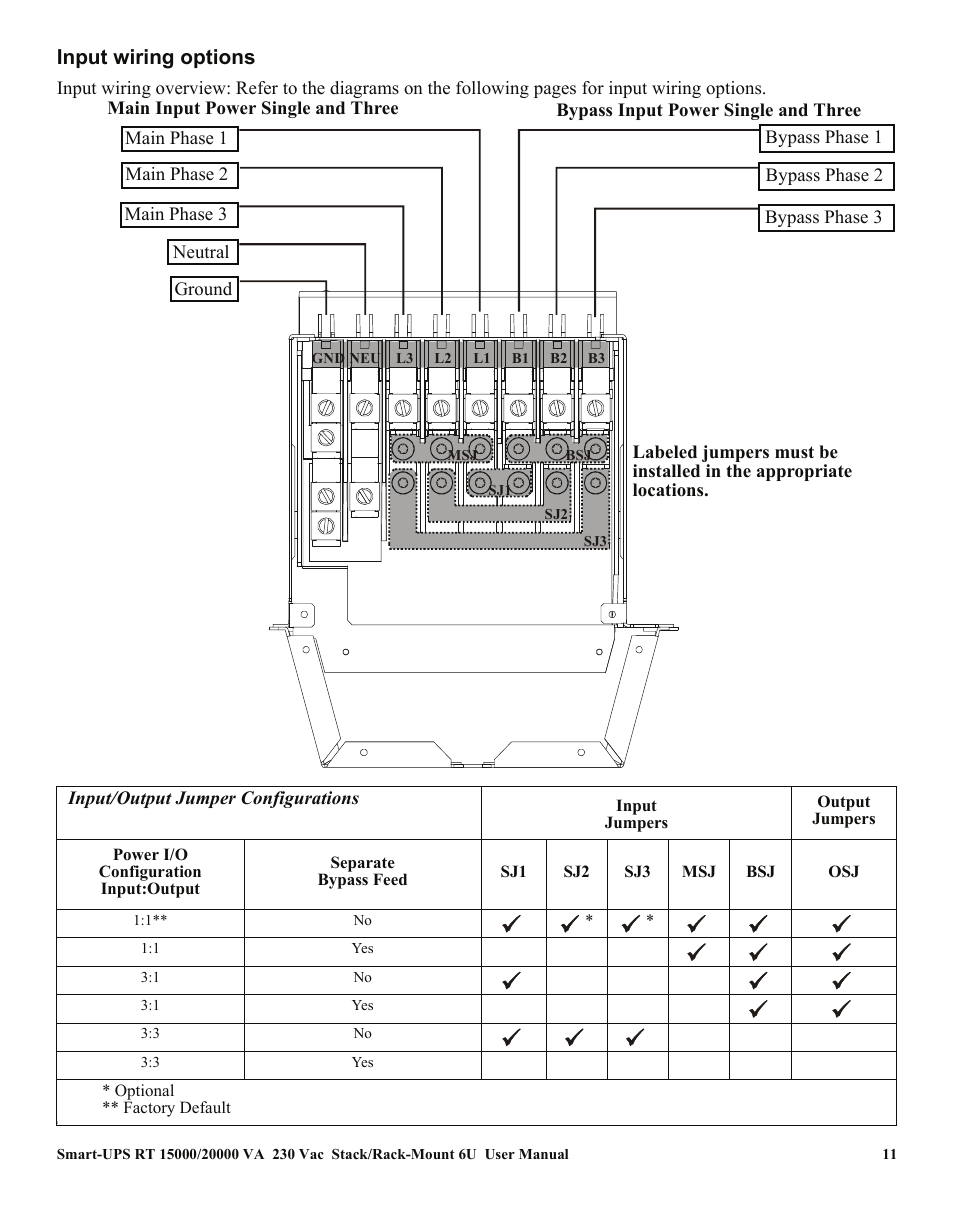 Input wiring options | American Power Conversion RT XLI/XLICH User Manual | Page 15 / 34