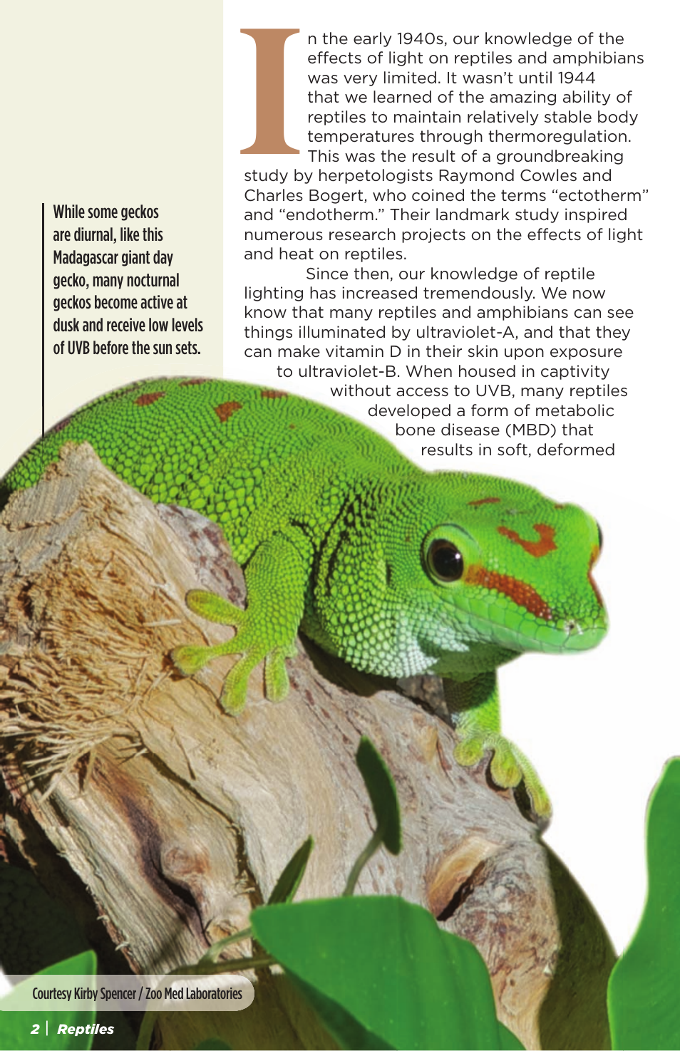 Zoo Med NatureSun® User Manual | Page 2 / 11
