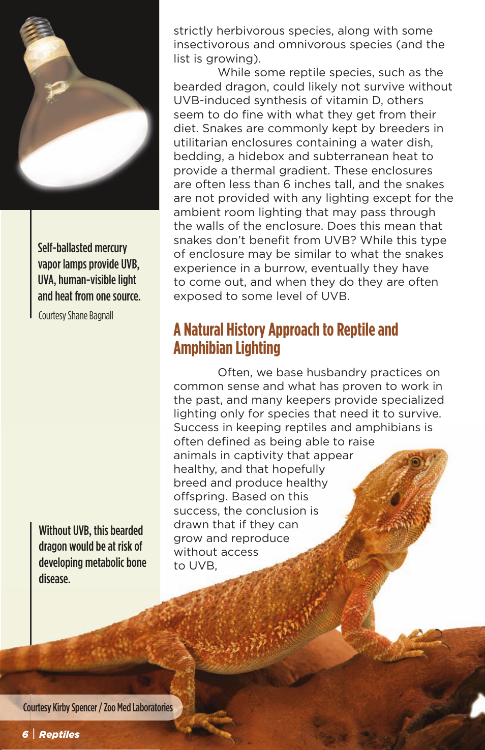 Zoo Med NatureSun® User Manual | Page 6 / 11