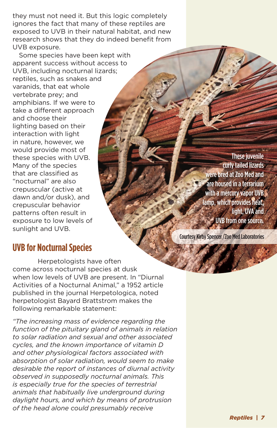 Uvb for nocturnal species | Zoo Med NatureSun® User Manual | Page 7 / 11