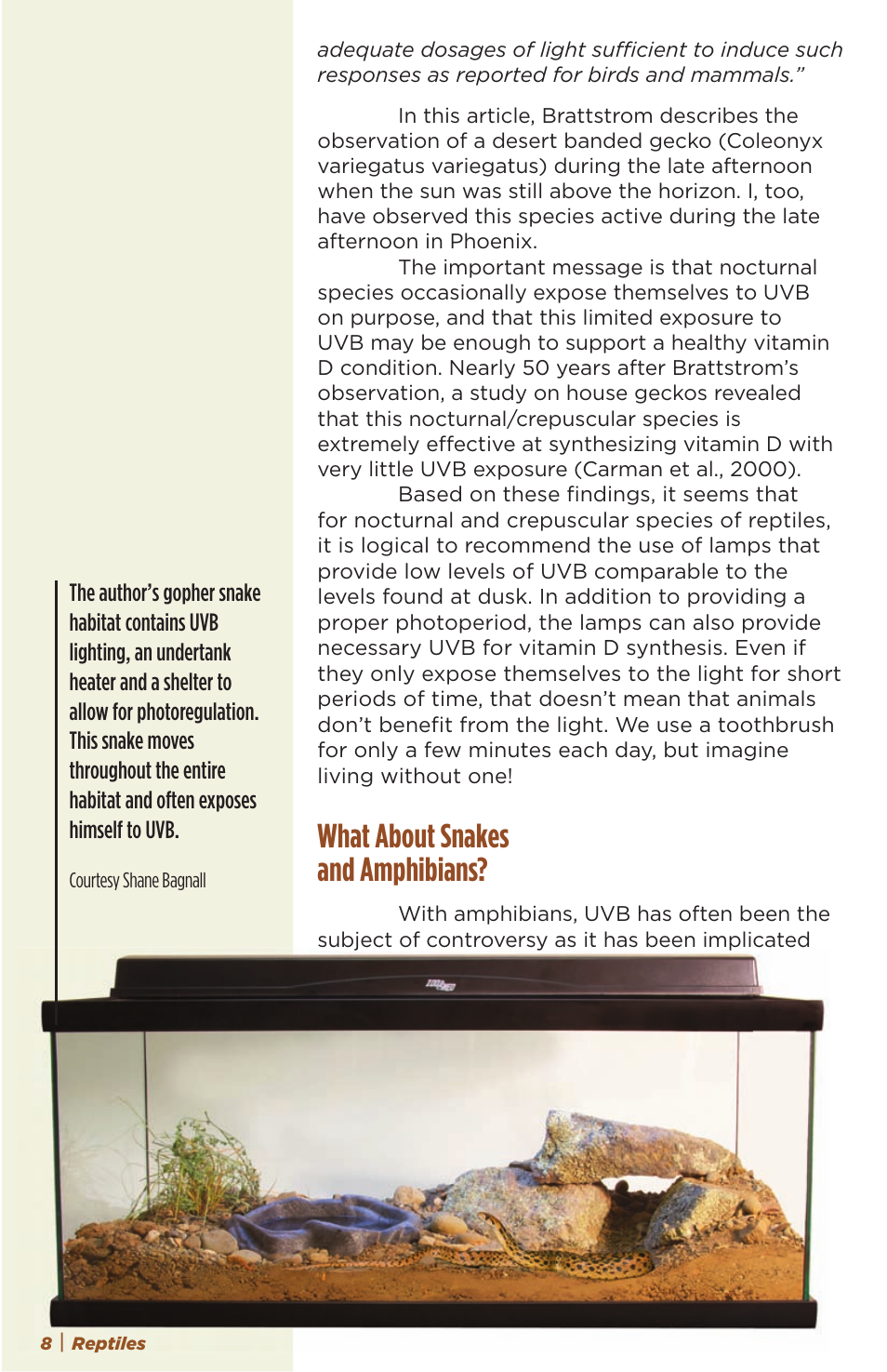 What about snakes and amphibians | Zoo Med NatureSun® User Manual | Page 8 / 11
