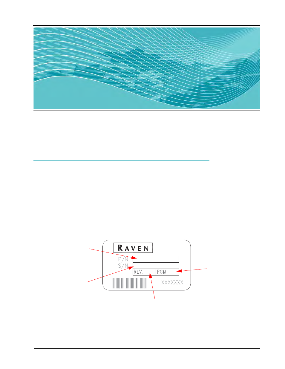 Console programming and calibration, Console identification | Raven Industries SCS 450 User Manual | Page 29 / 60