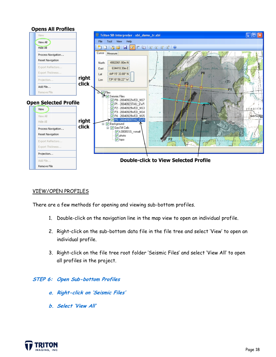 Triton SB-Interpreter User Manual | Page 20 / 60