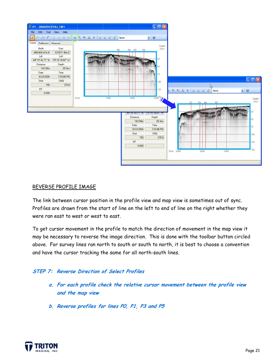 Triton SB-Interpreter User Manual | Page 24 / 60