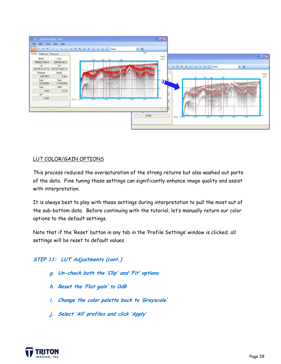 Triton SB-Interpreter User Manual | Page 31 / 60
