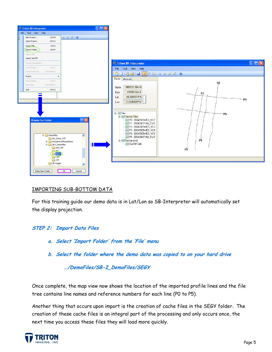 Triton SB-Interpreter User Manual | Page 8 / 60