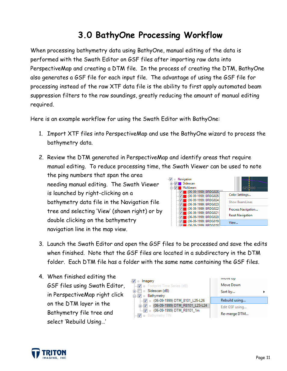 0 bathyone processing workflow | Triton Bathymetry Swath Editor User Manual | Page 14 / 15