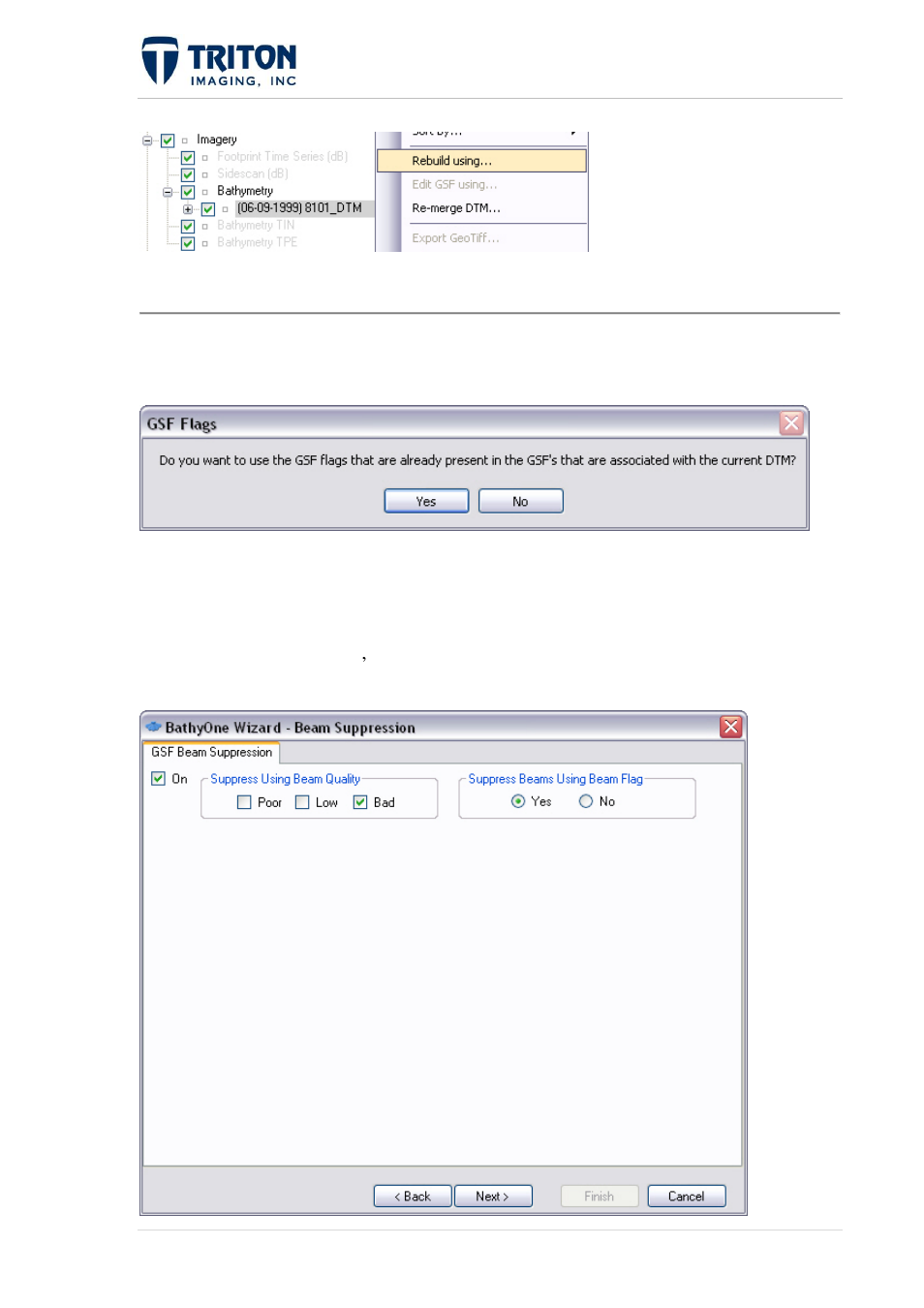 Triton Perspective User Manual | Page 110 / 195