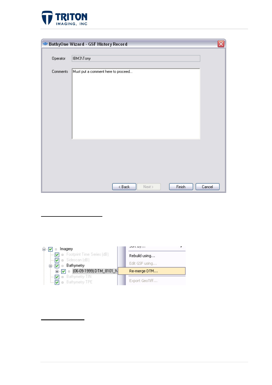 Erge, Ines, 5 re-merge dtm | 6 add lines | Triton Perspective User Manual | Page 113 / 195