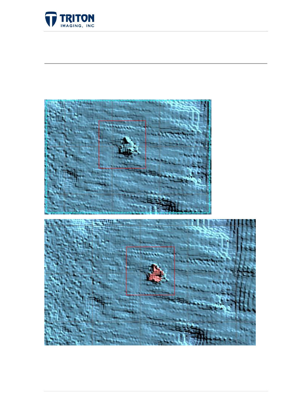 Triton Perspective User Manual | Page 130 / 195