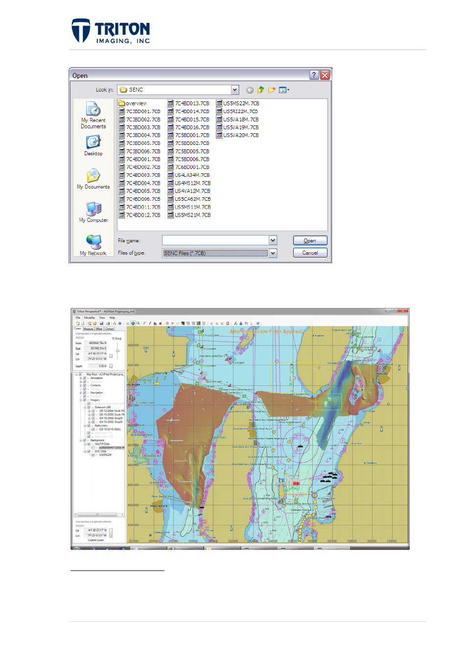 Triton Perspective User Manual | Page 37 / 195