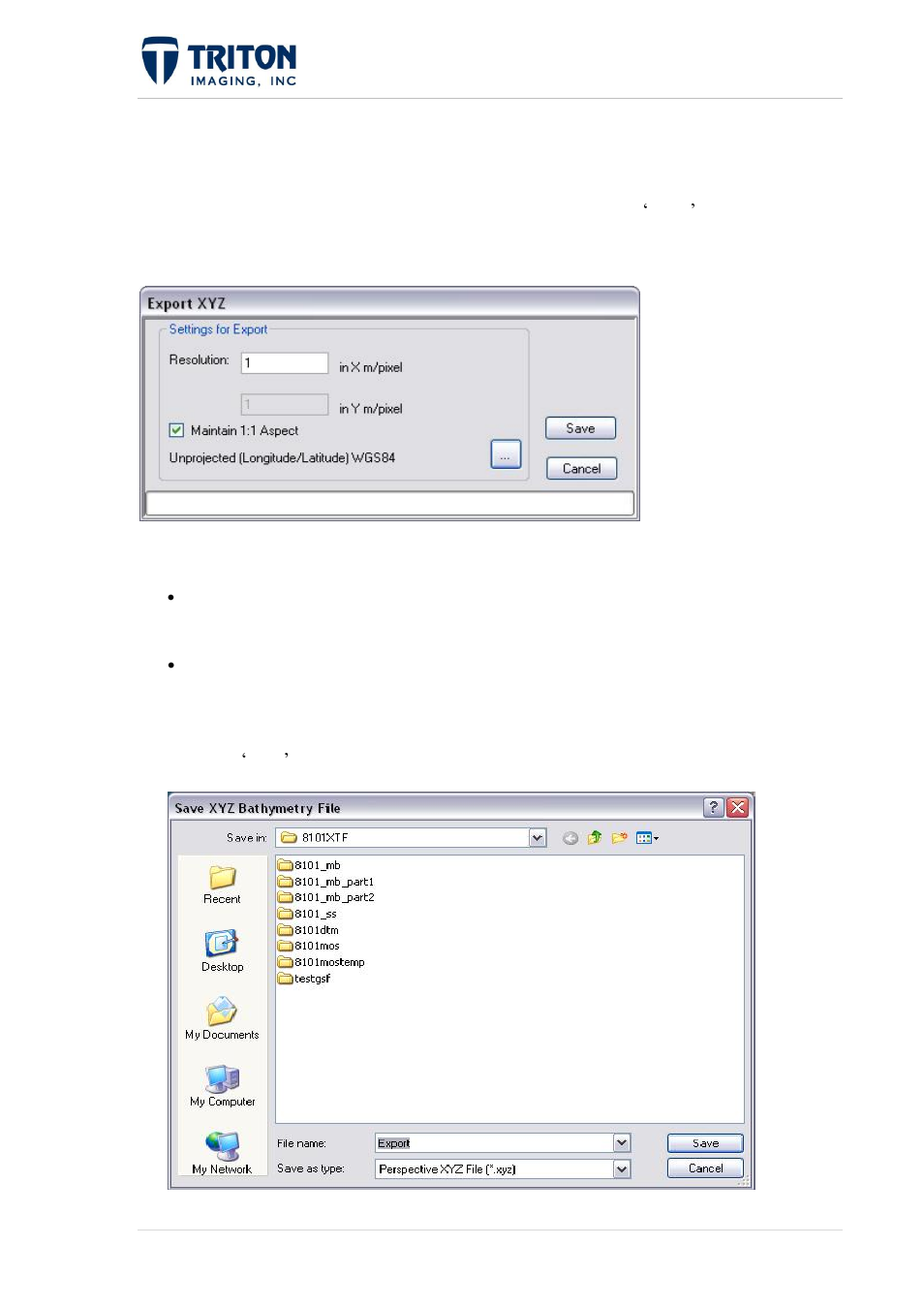 5 xyz file export | Triton Perspective User Manual | Page 59 / 195