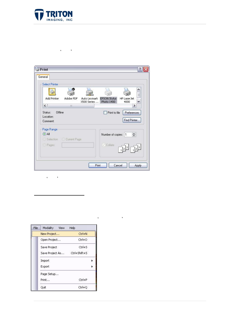 7 printing, Roject, Ptions | 1 new project, 4 project options 2.4.1 new project | Triton Perspective User Manual | Page 62 / 195