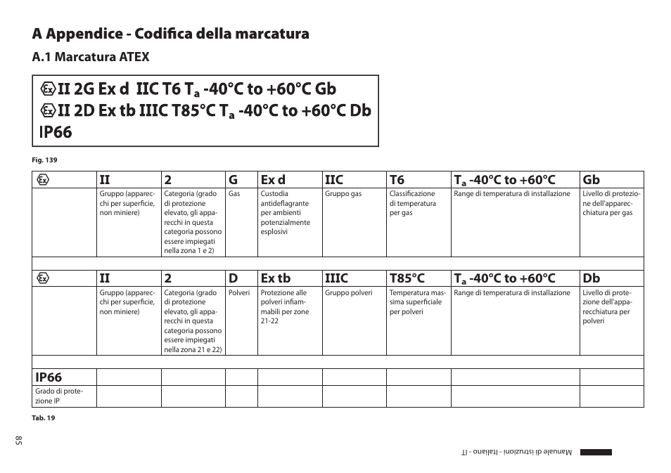 A appendice - codifica della marcatura, A.1 marcatura atex, Ip66 | Videotec MAXIMUS MPXT User Manual | Page 177 / 454