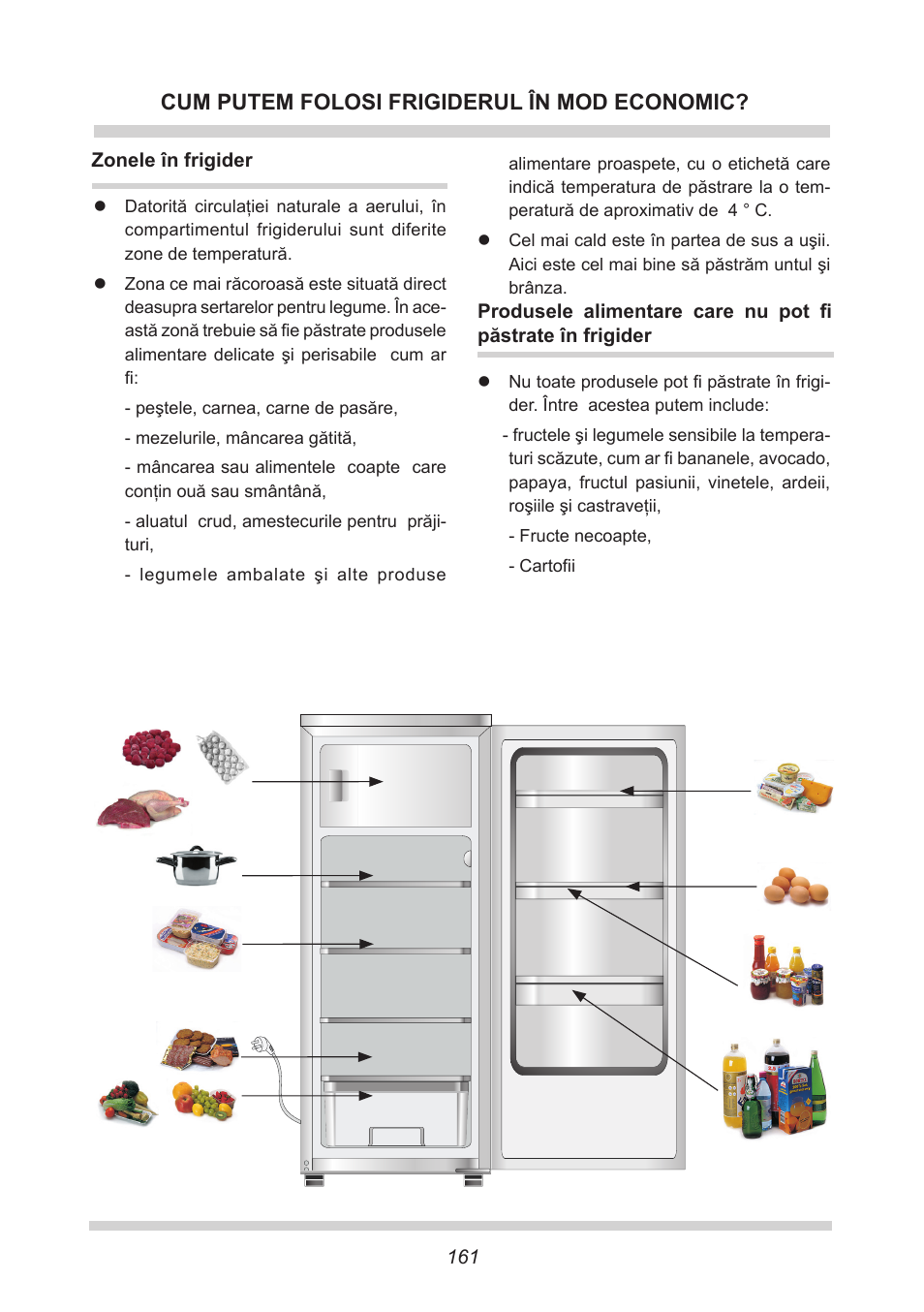 Cum putem folosi frigiderul în mod economic | AMICA EKS 16161 DE User Manual | Page 161 / 172