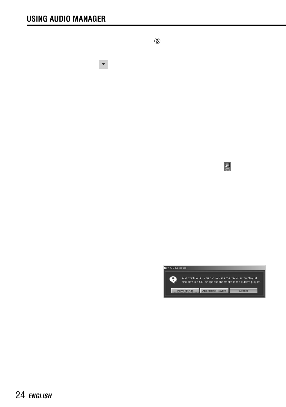 Using audio manager | Aiwa MM-RX400 User Manual | Page 24 / 64