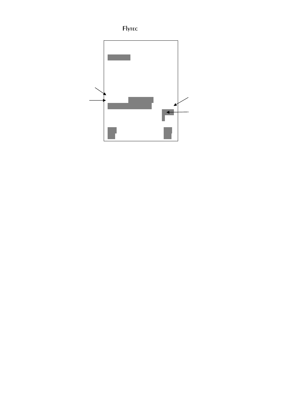 Flytec | Flytec 5030 v2.24 * User Manual | Page 37 / 53