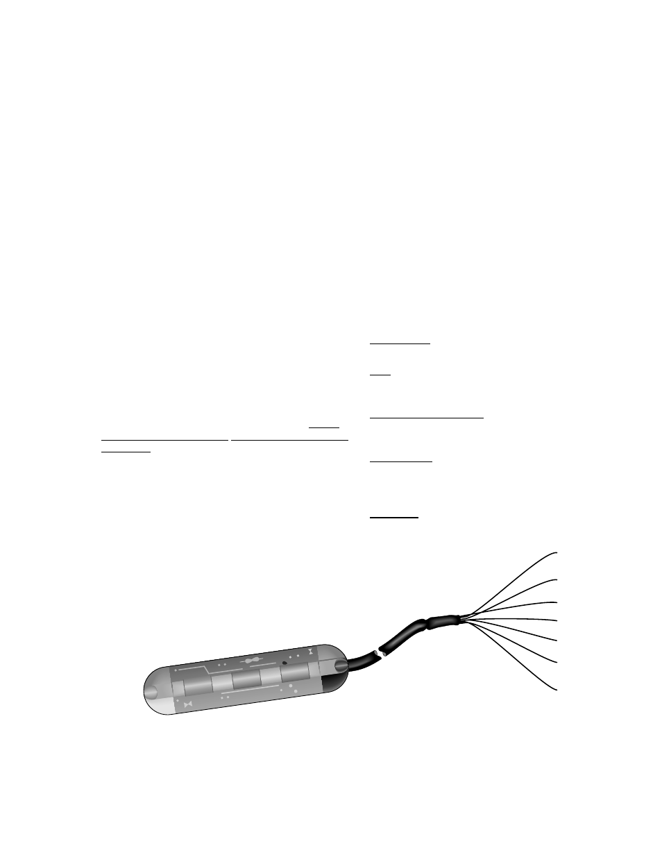 247 conductivity and temperature probes, Overview, 1 ec sensor | 2 temperature sensor, Specifications, 1 probe | Campbell Scientific 247-L Conductivity and Temperature User Manual | Page 5 / 18