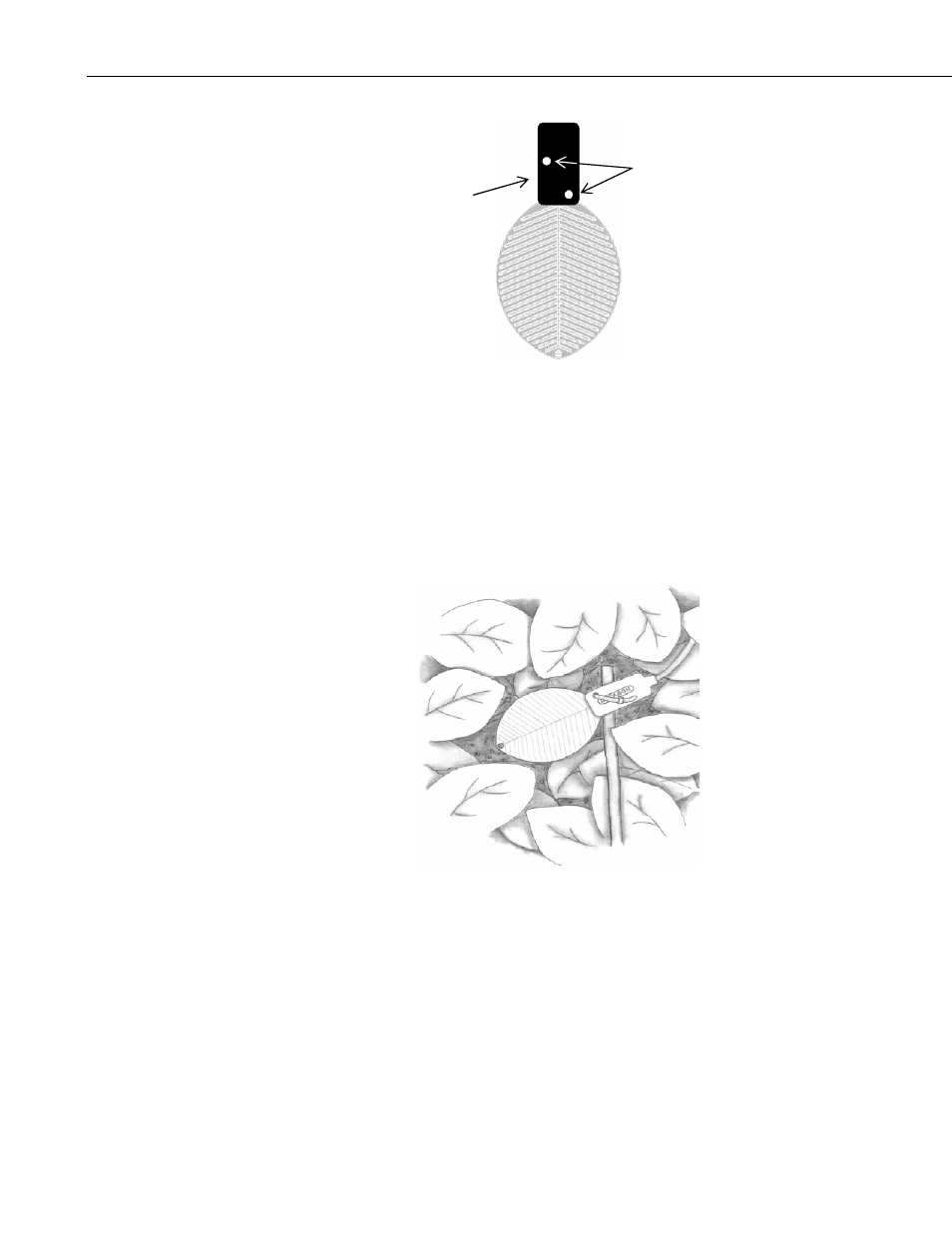 Installation | Campbell Scientific LWS Decagon Leaf Wetness Sensor User Manual | Page 6 / 12