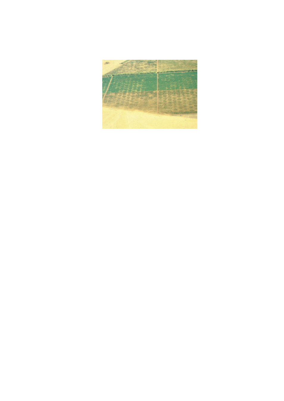 Important factors for macro site selection | Campbell Scientific Sentek TriSCAN® Manual v 1.2a User Manual | Page 26 / 61