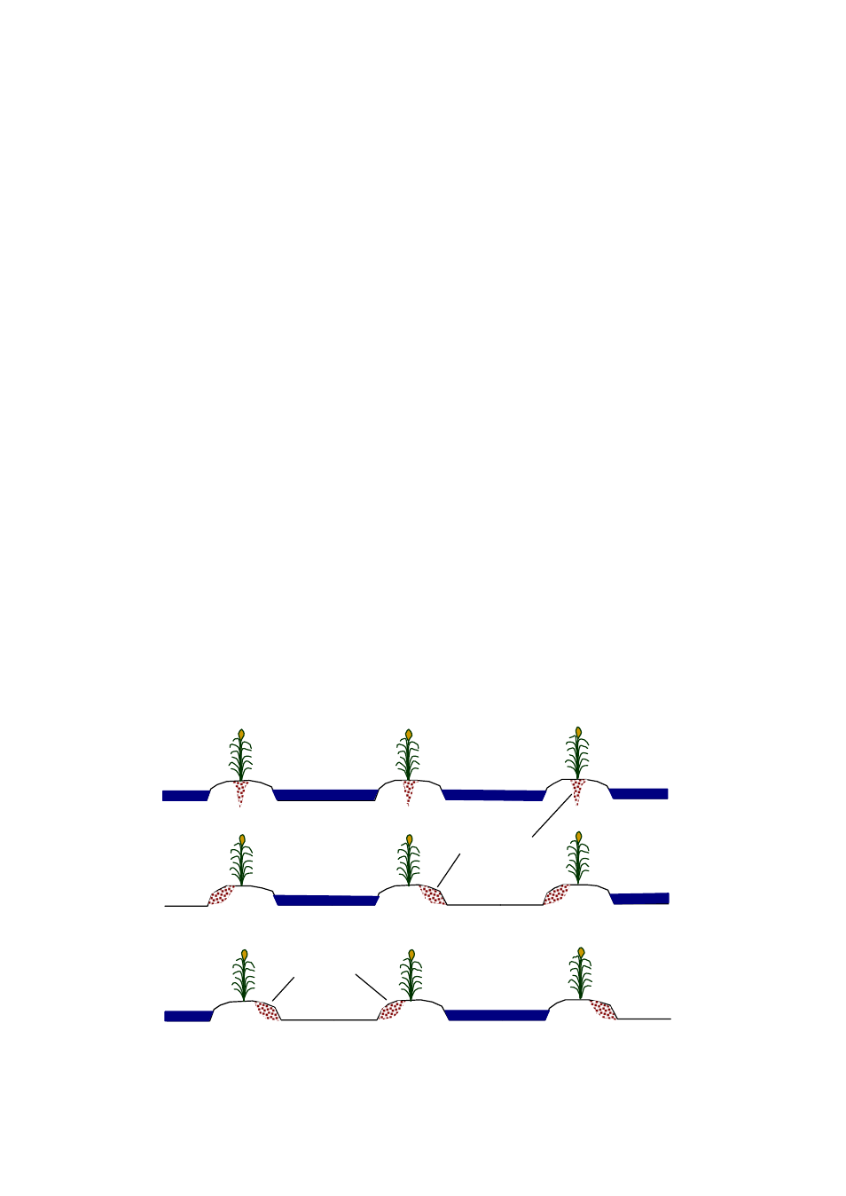 Fertilizer types and application methods, Other micro zone selection considerations | Campbell Scientific Sentek TriSCAN® Manual v 1.2a User Manual | Page 34 / 61