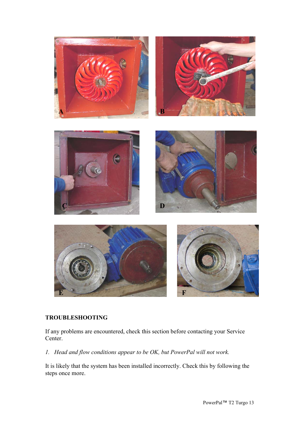 Asian Phoenix Resources POWERPAL MHG-T2 User Manual | Page 13 / 17