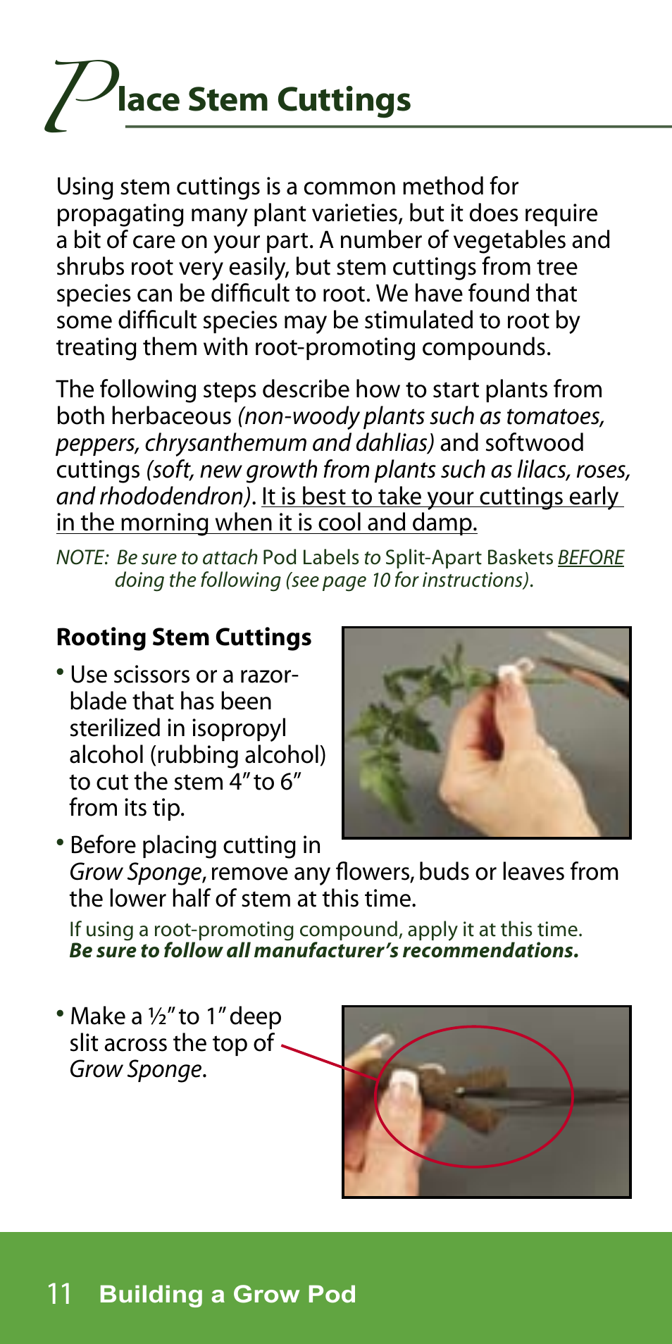 Lace stem cuttings | AeroGarden 7-Pod User Manual | Page 12 / 32