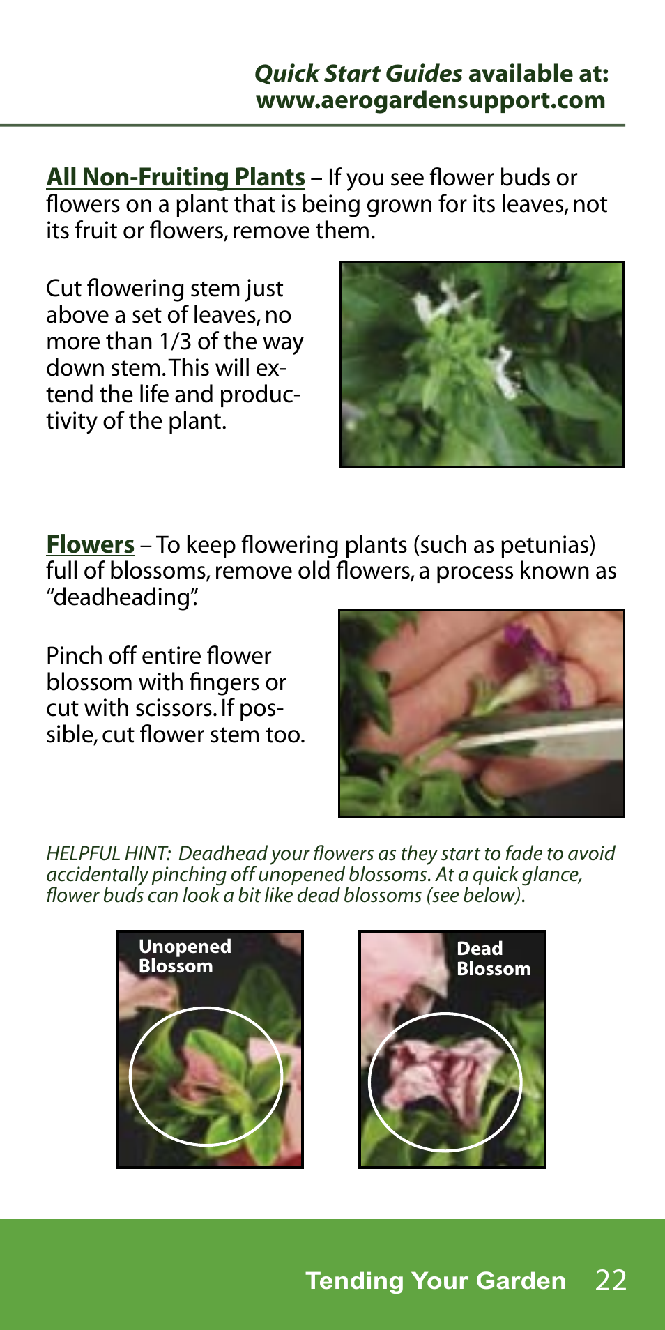 AeroGarden 7-Pod User Manual | Page 23 / 32