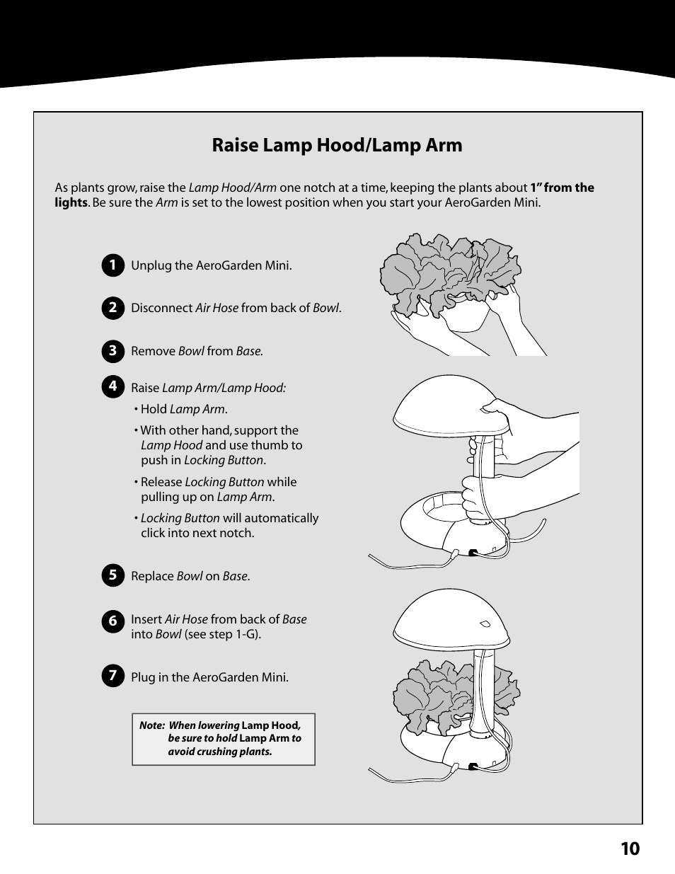 Raise lamp hood/lamp arm | AeroGarden Mini 300291 User Manual | Page 11 / 12