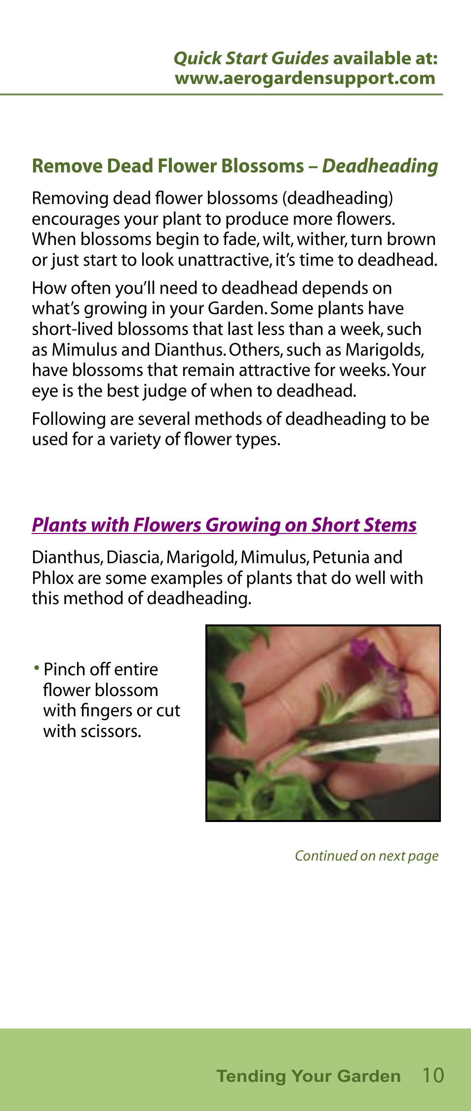 AeroGarden Flower Series User Manual | Page 11 / 22