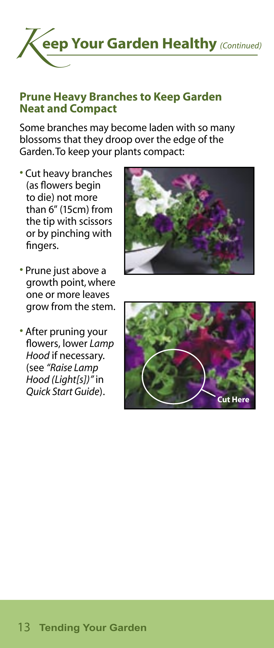 Eep your garden healthy | AeroGarden Flower Series User Manual | Page 14 / 22