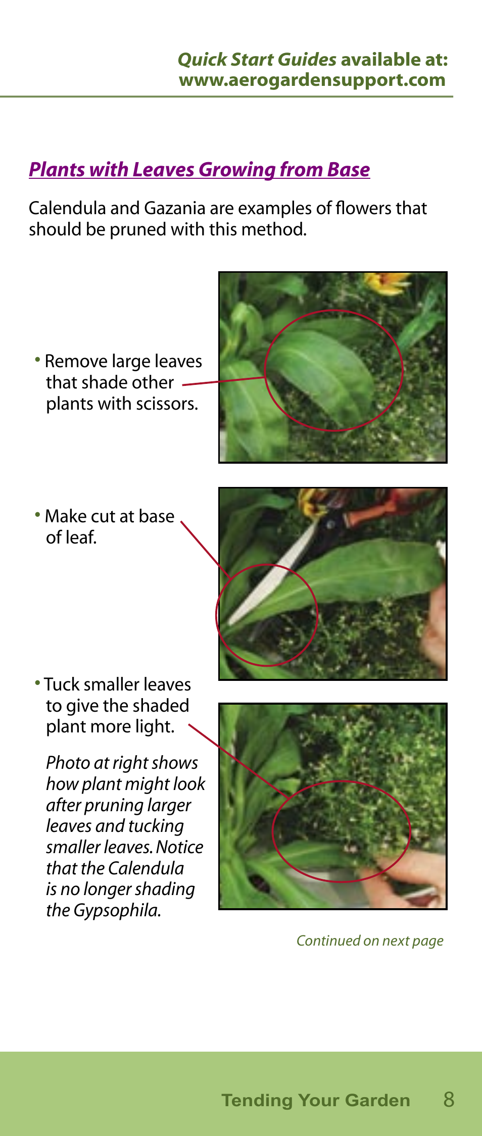 AeroGarden Flower Series User Manual | Page 9 / 22