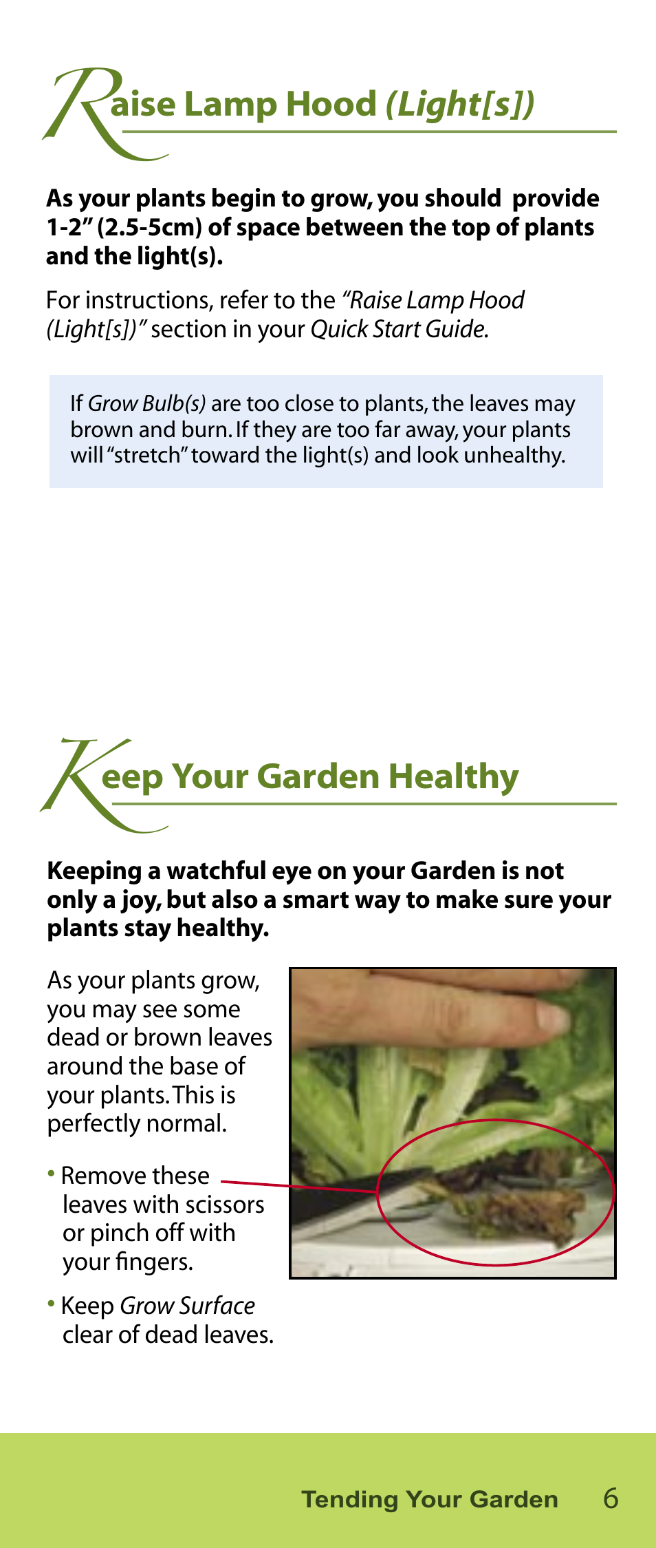 Aise lamp hood (light[s]), Eep your garden healthy | AeroGarden Salad Series User Manual | Page 7 / 16