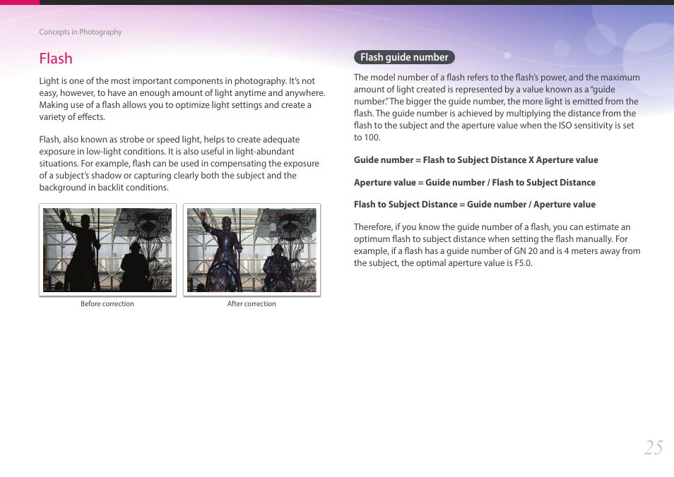 Flash, Flash guide number | Samsung EV-NX2000BABUS User Manual | Page 26 / 203