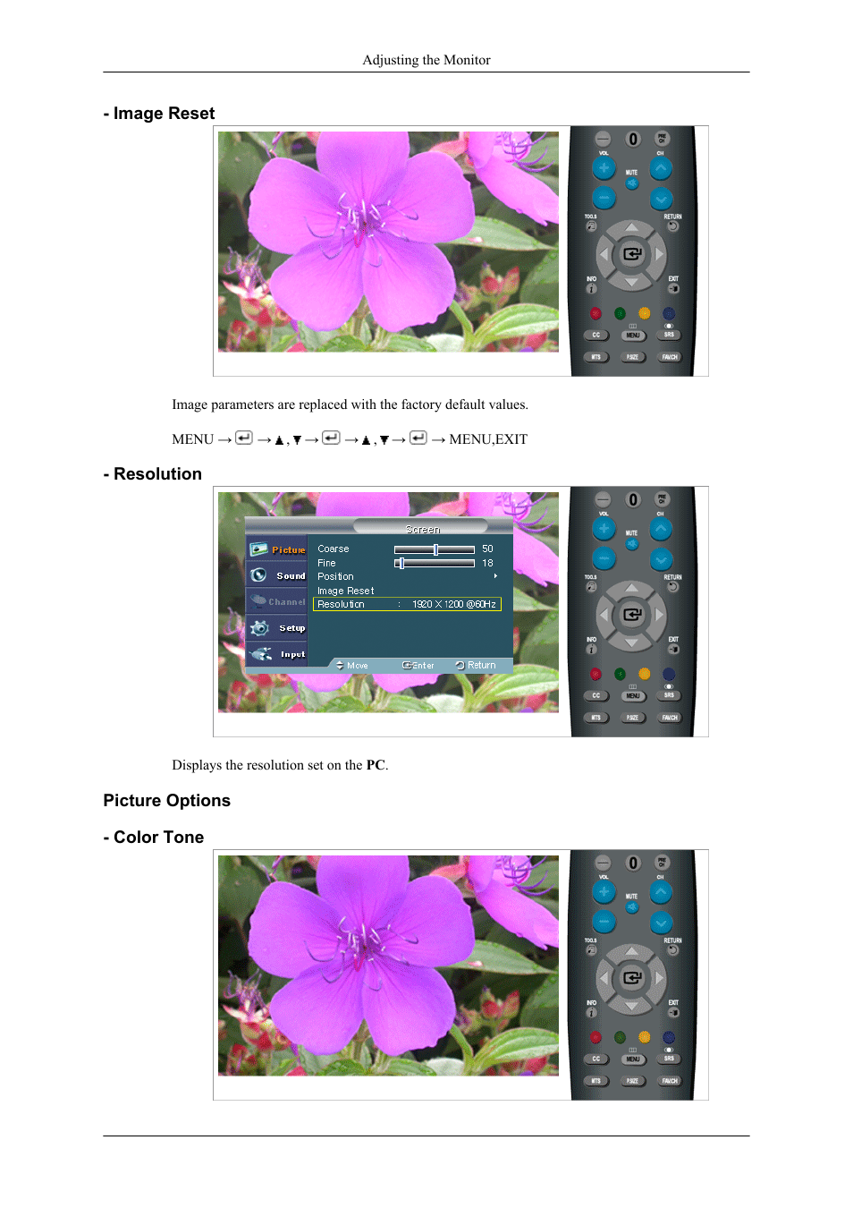 Image reset, Resolution, Picture options | Color tone | Samsung LS20TDNSUV-ZA User Manual | Page 38 / 88