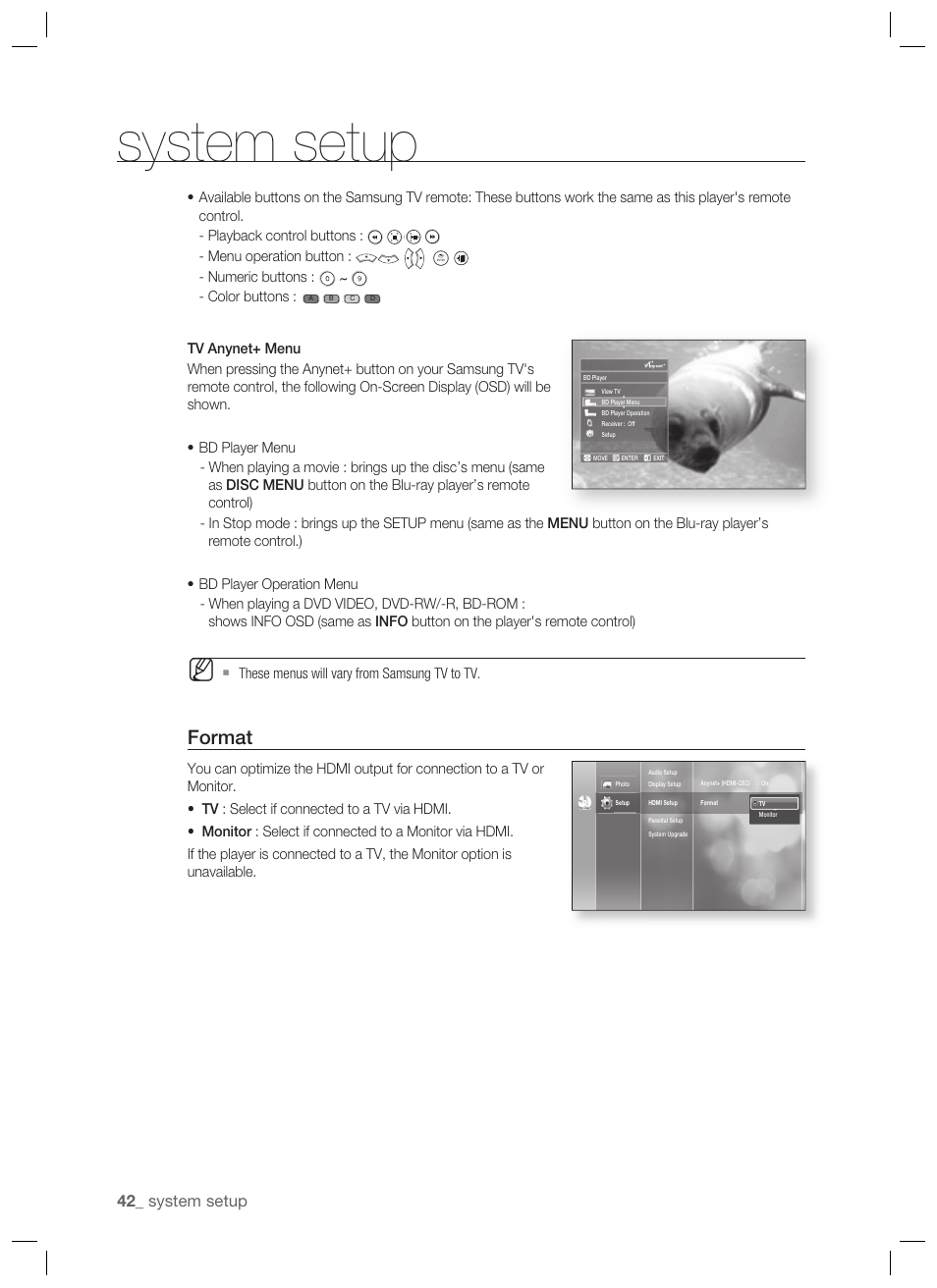 Format, System setup | Samsung BD-P1400-XAA User Manual | Page 43 / 67