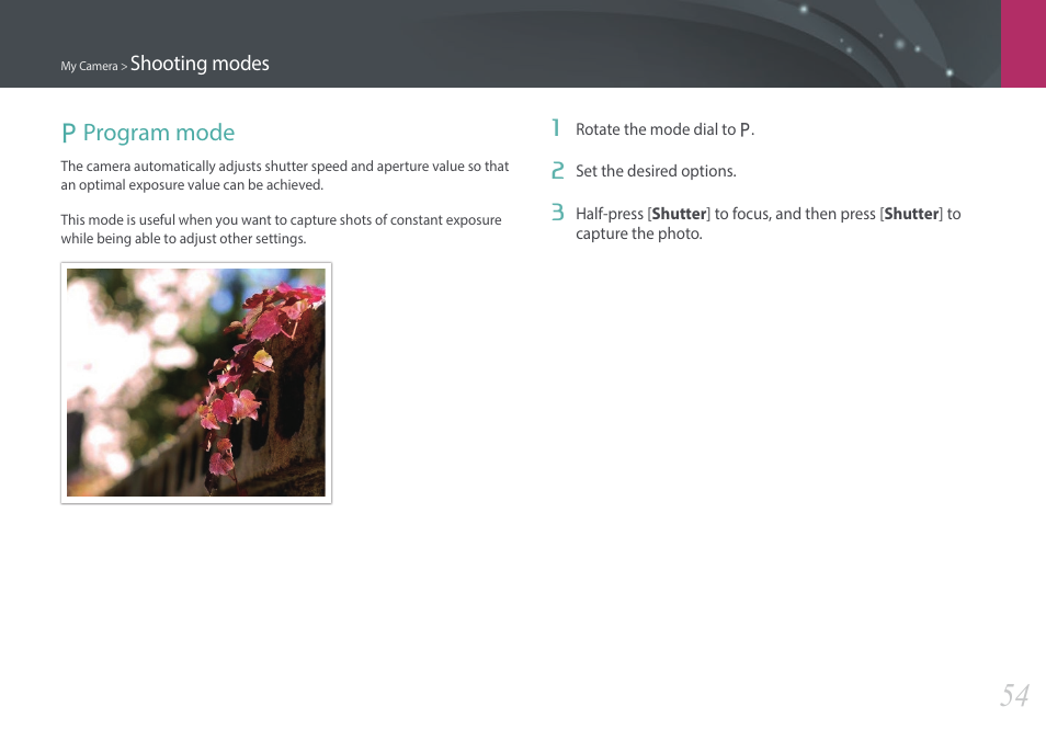 Program mode, P program mode | Samsung EV-NX3000BOIUS User Manual | Page 55 / 186